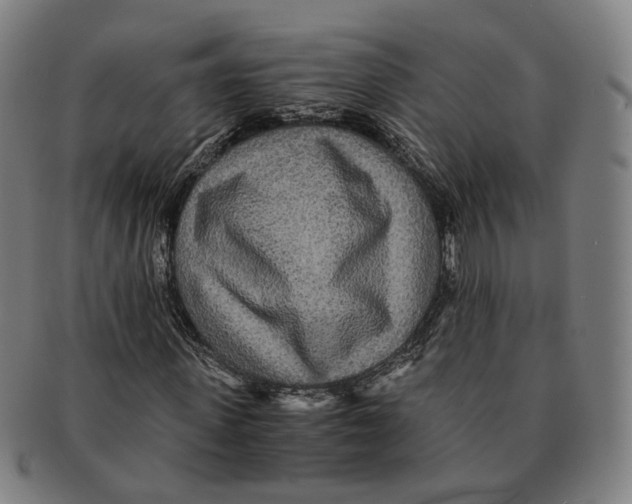 X0000090990915200708301309