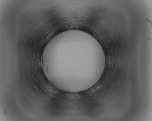 X0000090990916200708301309