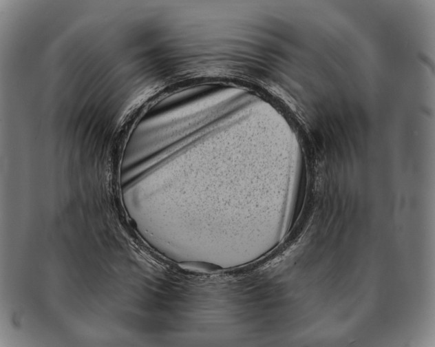 X0000090990922200708301309