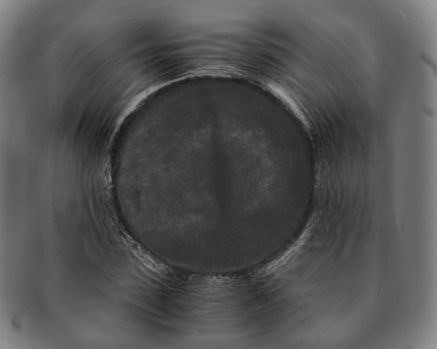 X0000090990923200708301309