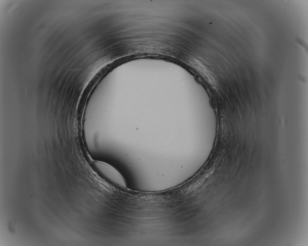 X0000090990924200708301309