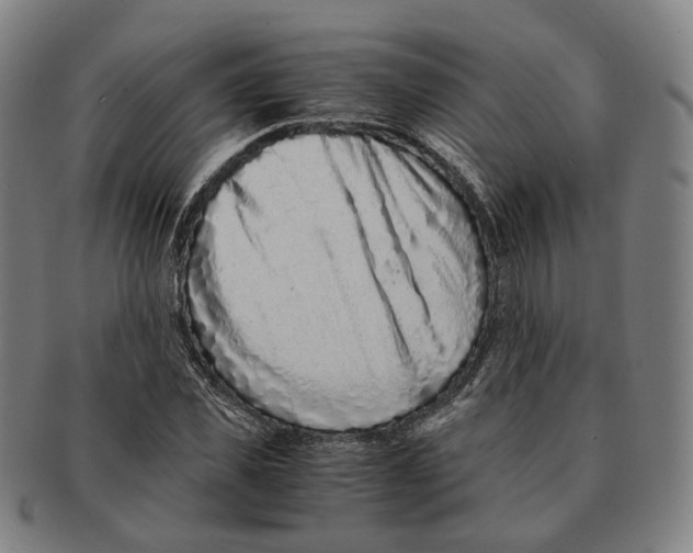 X0000090990925200708301309