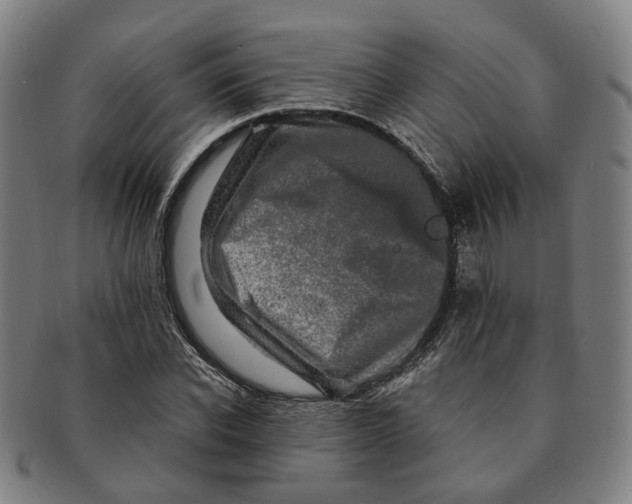 X0000090990926200708301309