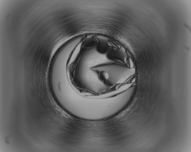 X0000090990928200708301309