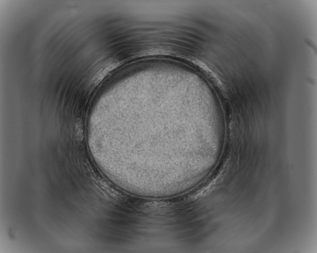 X0000090990929200708301309