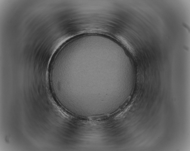 X0000090990932200708301309