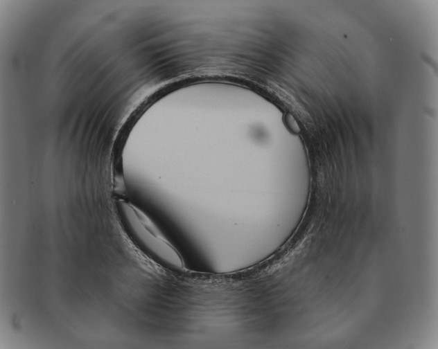 X0000090990934200708301309