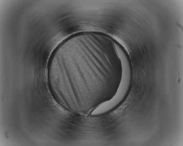 X0000090990935200708301309