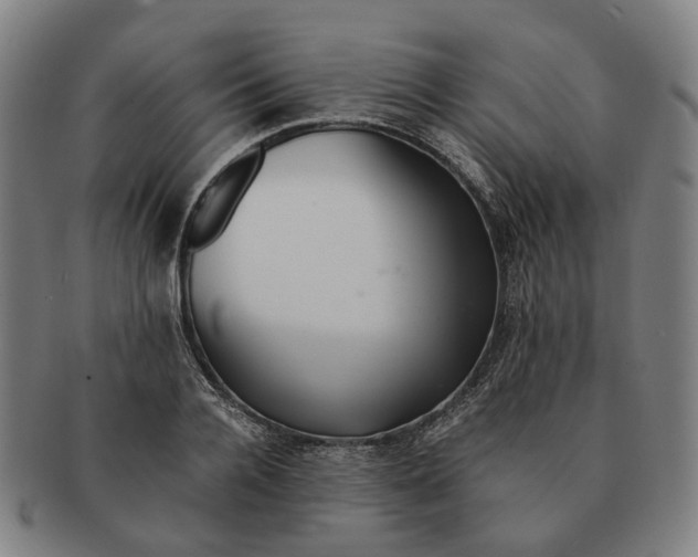 X0000090990936200708301309