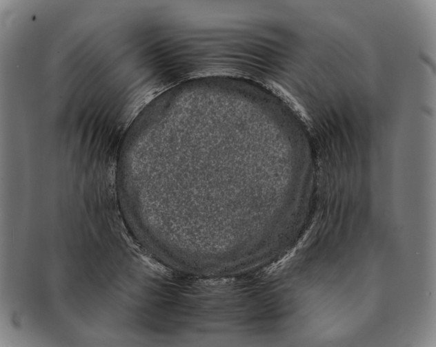 X0000090990937200708301309