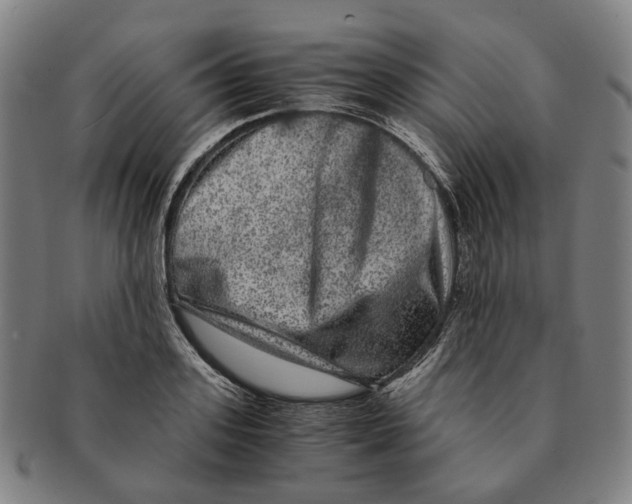 X0000090990939200708301309