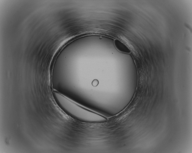 X0000090990940200708301309