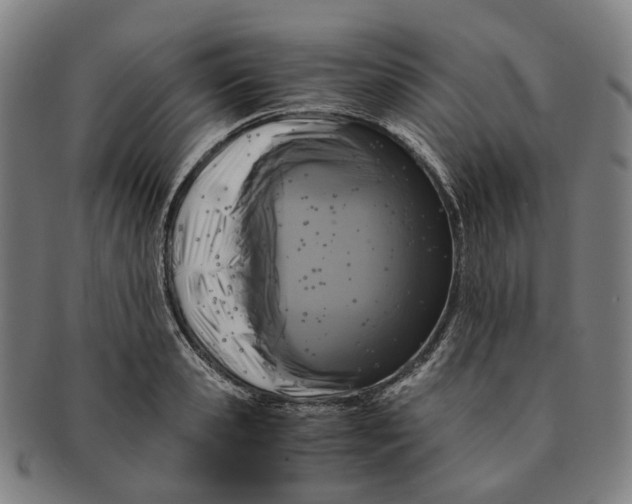 X0000090990941200708301309