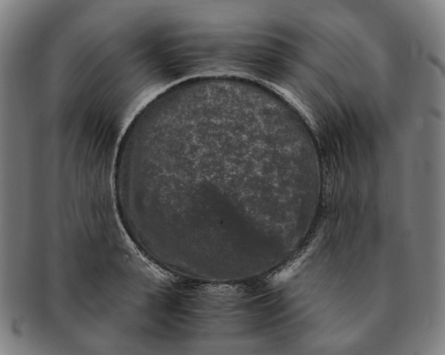 X0000090990943200708301309