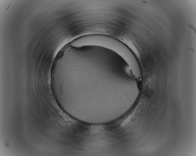 X0000090990944200708301309