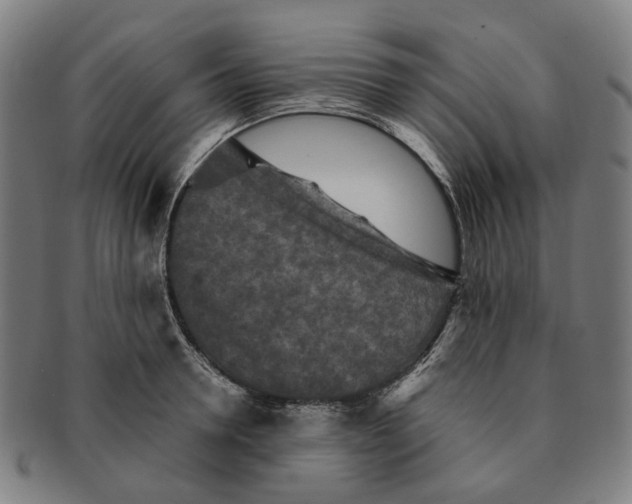 X0000090990946200708301309