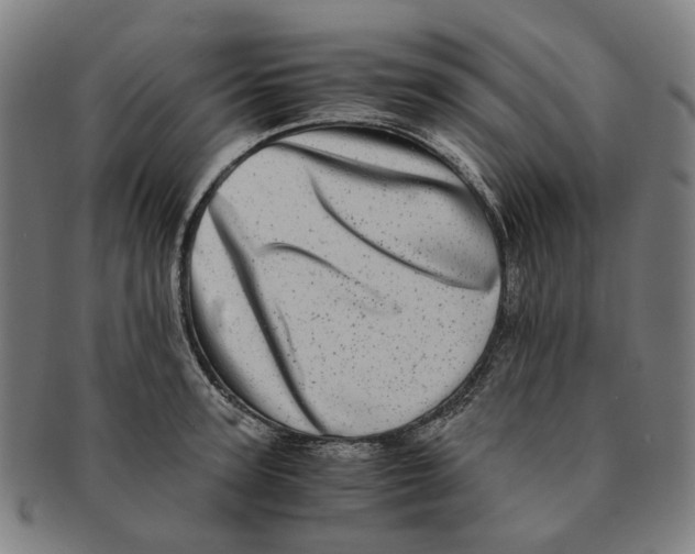 X0000090990947200708301309