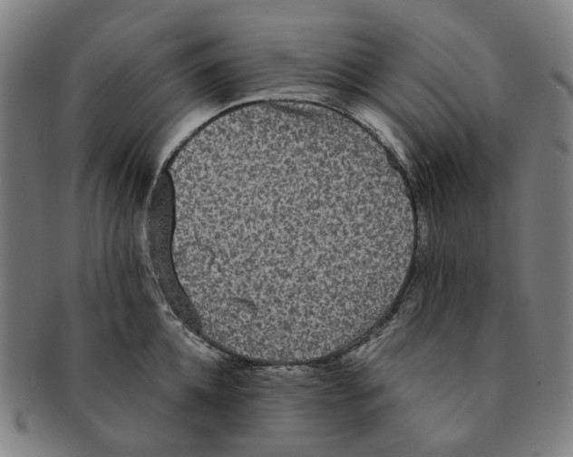 X0000090990952200708301309