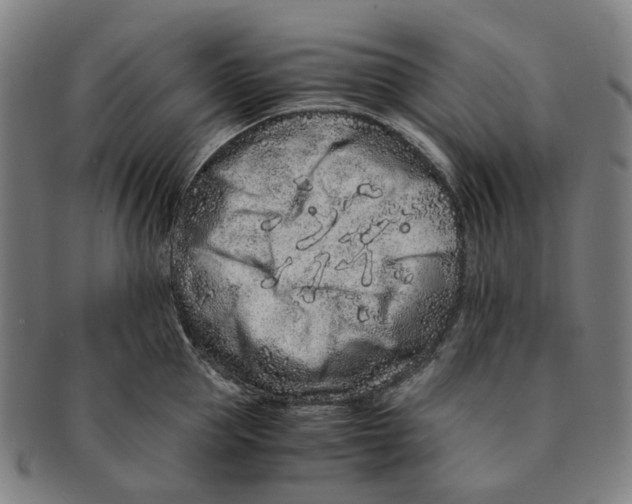 X0000090990953200708301309