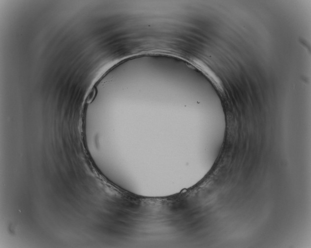 X0000090990956200708301309