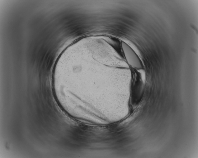 X0000090990957200708301309