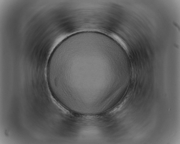 X0000090990958200708301309