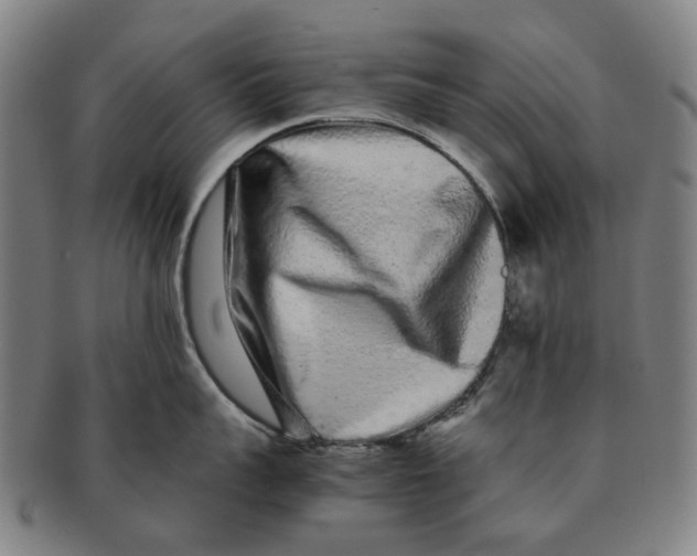 X0000090990959200708301309