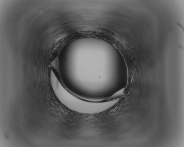 X0000090990965200708301308