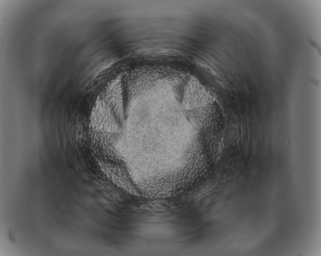 X0000090990966200708301308