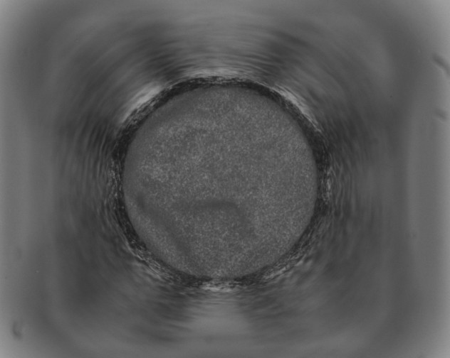 X0000090990967200708301308