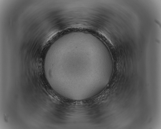 X0000090990968200708301308