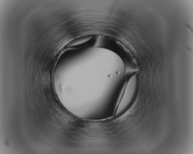 X0000090990969200708301308