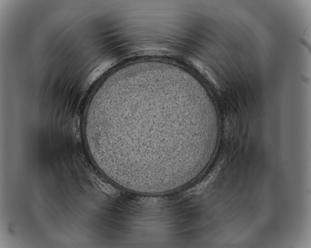 X0000090990970200708301308