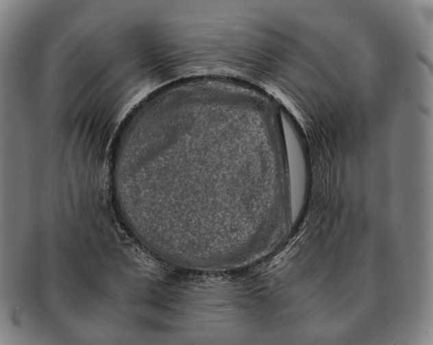 X0000090990975200708301308