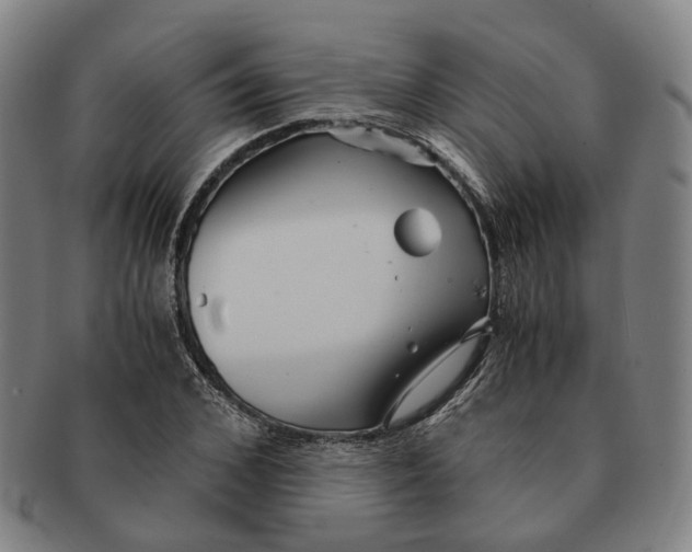 X0000090990976200708301308