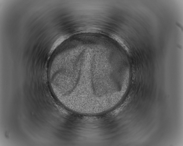 X0000090990978200708301308