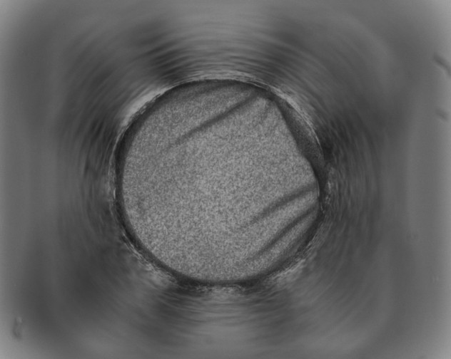 X0000090990979200708301308