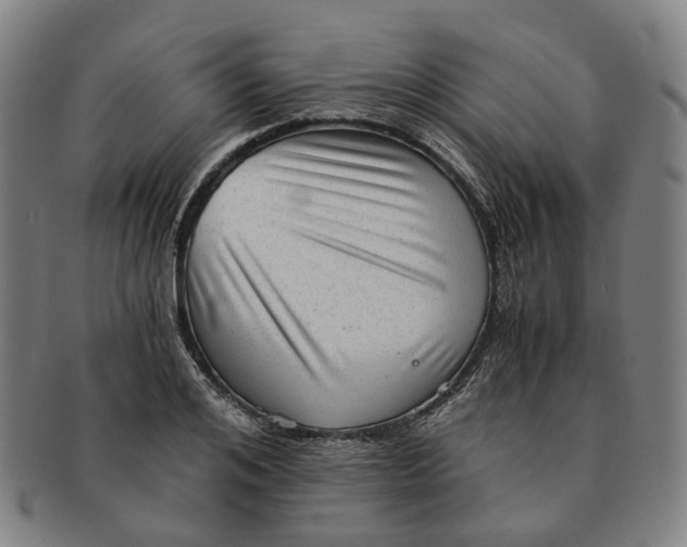 X0000090990984200708301308