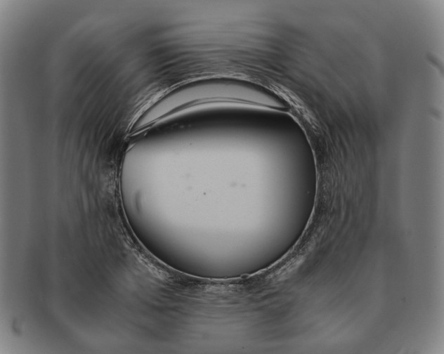 X0000090990985200708301308