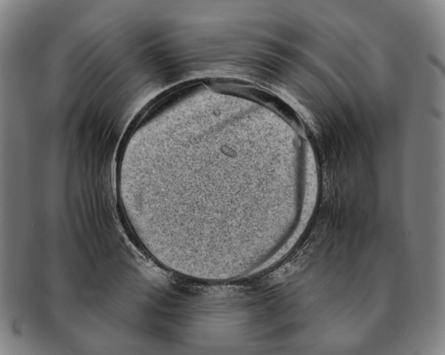 X0000090990988200708301308