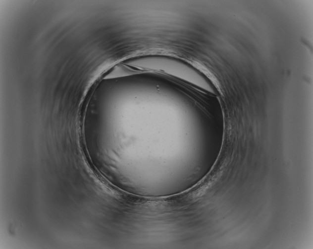 X0000090990989200708301308