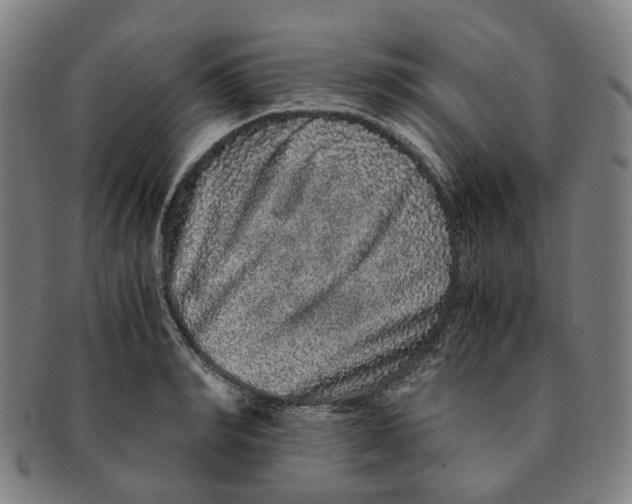 X0000090990990200708301308