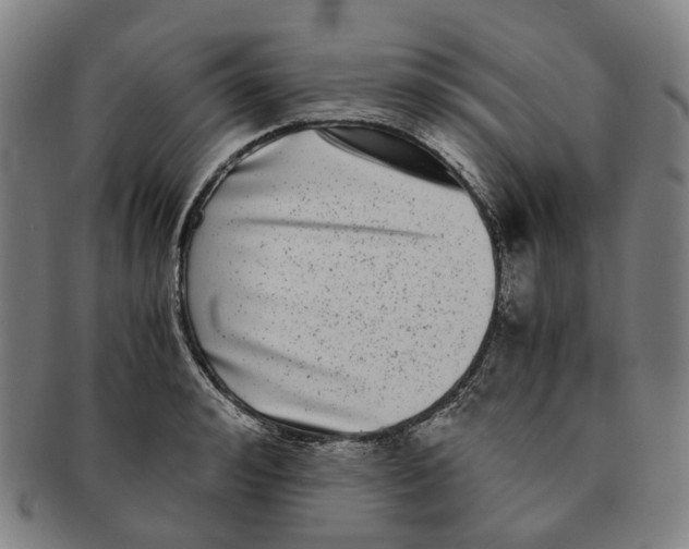 X0000090990992200708301308