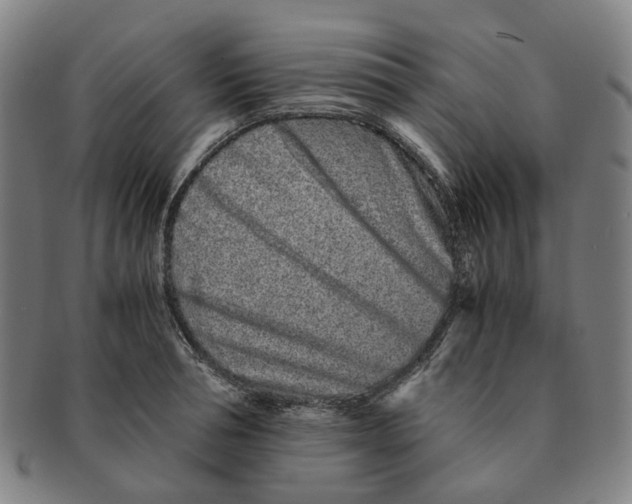 X0000090990994200708301308