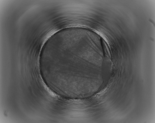 X0000090990995200708301308