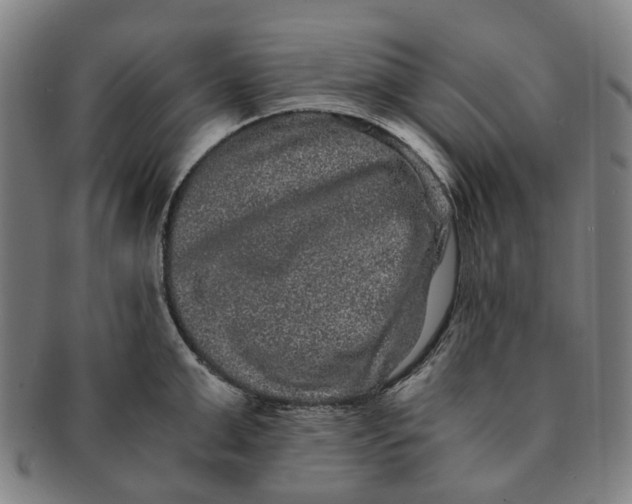 X0000090990999200708301308