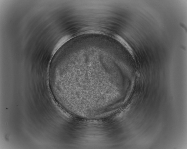 X0000090991002200708301308