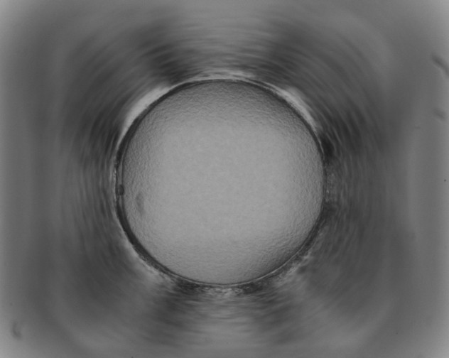 X0000090991003200708301308