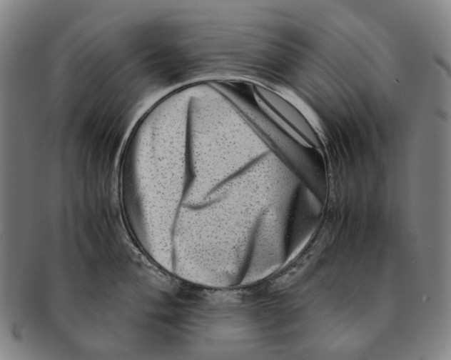 X0000090991004200708301308