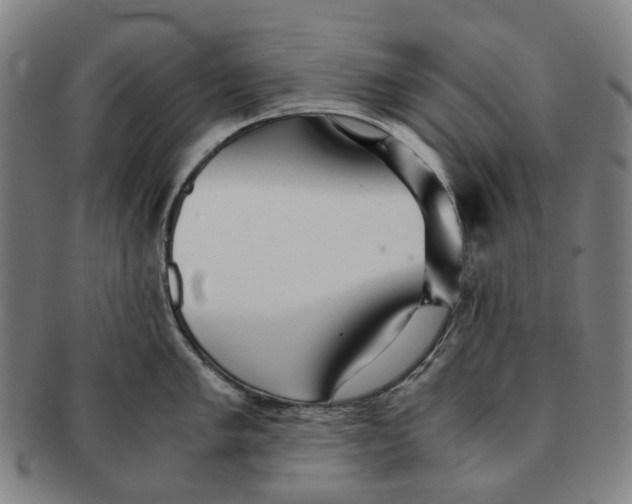 X0000090991005200708301308